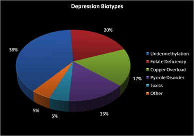The Five Biotypes of Depression - William J. Walsh, PhD